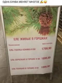Как пишется еле или ели