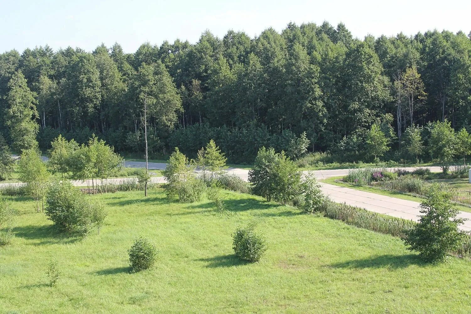 Пестово румянцево. Пестово коттеджный поселок. Пестово кп коттеджный посёлок. Кп пестово дмитровское шоссе. Участки пестово.