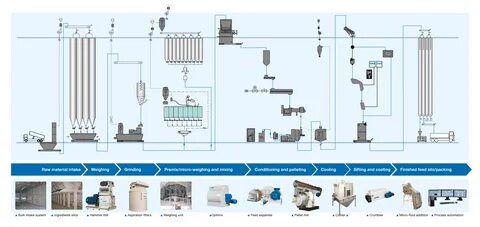 Animal Feed Processing