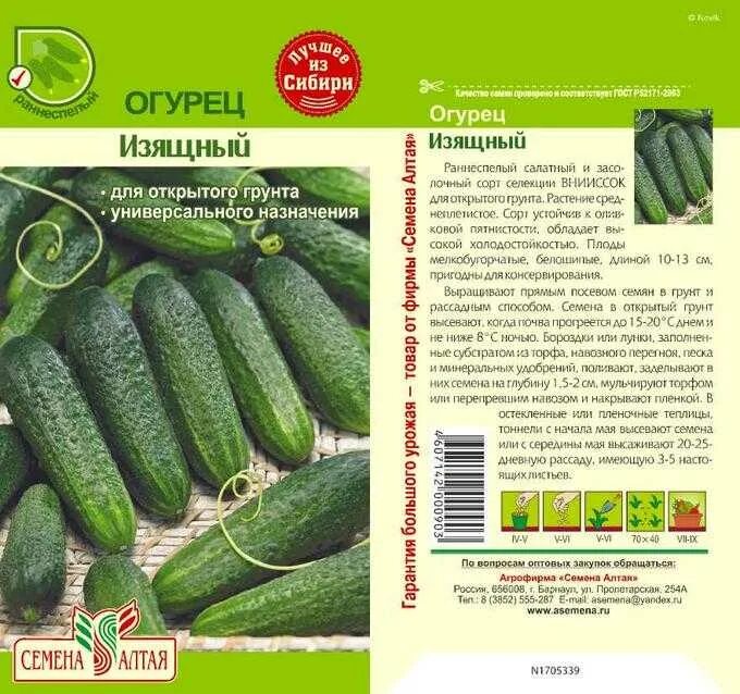 Огурцы изящные описание сорта характеристика и отзывы