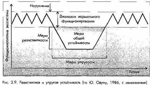 Нормальный спектр