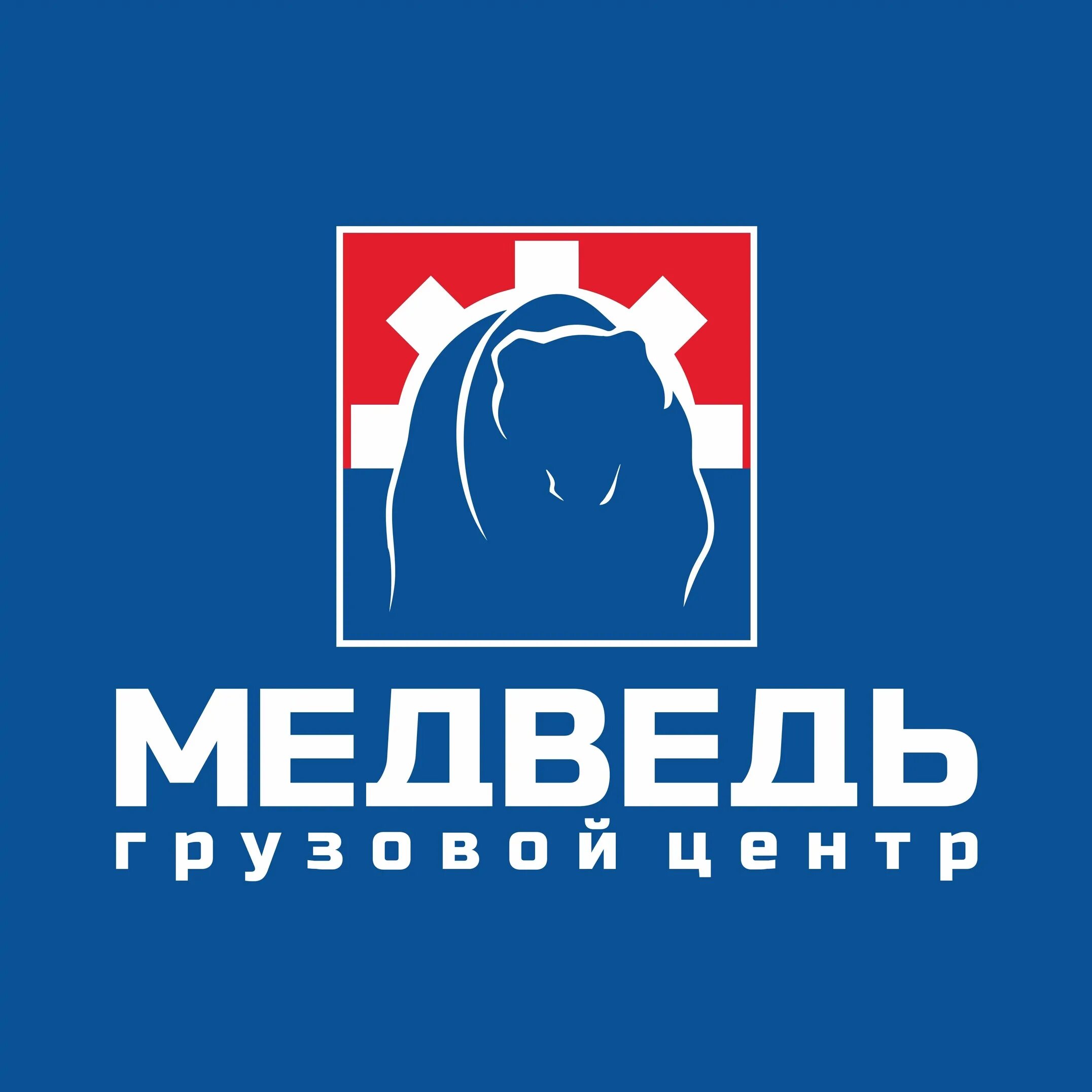 Медведь центр. Медведь в твери. Медведь центр. Медведь в тверской области. Тверь медвежата сироты.