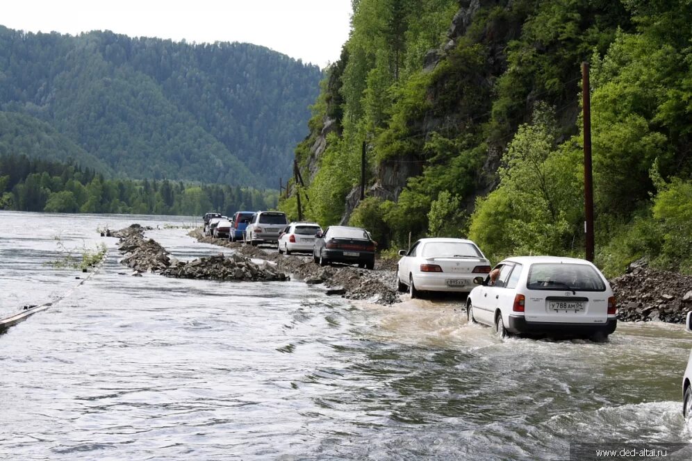 паром телецкое озеро. катер ирбис телецкое озеро. горный алтай в начале 20 века. паромная переправа телецкое озеро. телецкое озеро алтай на катере.