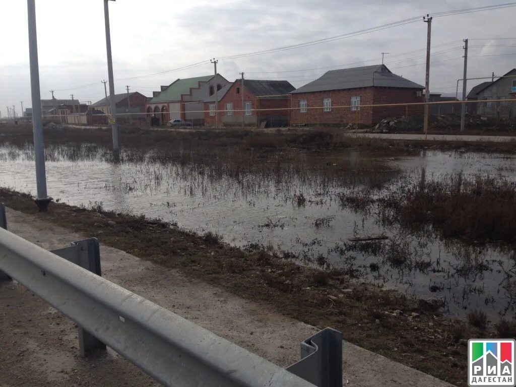 Село зеленоморск карабудахкентский район. Погода зеленоморск. Зеленоморск дагестан. Зеленоморск дагестан школа. Погода в сызрани на неделю.