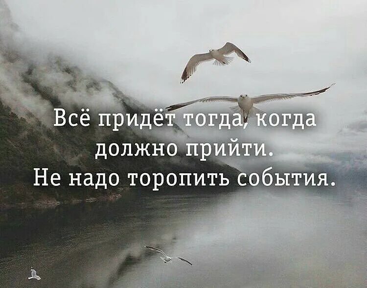 Не надо торопить события. Не торопи события цитаты. Не надо торопить события цитаты. Не торопите события.