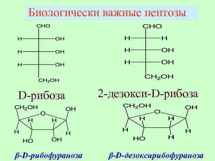 2-Дезокси-d-рибоза. Строение пентозы. Рибоза циклическая формула. 2-Дезокси-d-Глюкоза.