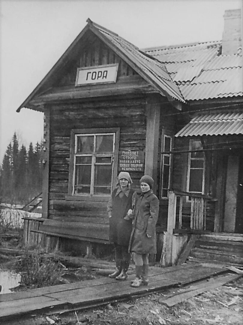 Ерцево. Ерцево Архангельская область. Поселок Ерцево Архангельская область. Железная дорога Ерцево Мостовица.