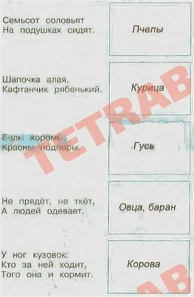 загадка семьсот соловьят. задания по 1 классу по окружающему миру. семьсот соловьят на подушках сидят ответы окружающий. окружающий мир 2 класс рабочая тетрадь 2 часть плешаков ответы стр 51. отгадка на загадку семьсот соловьят на подушках сидят.