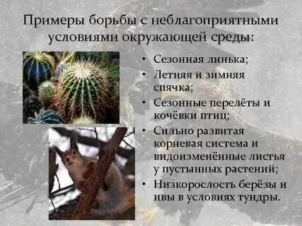 Какие приспособления к переживанию неблагоприятных условий
