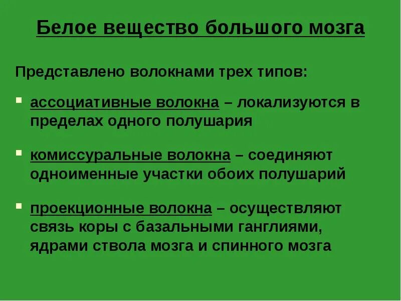 Волокна белого вещества. Волокна белого вещества