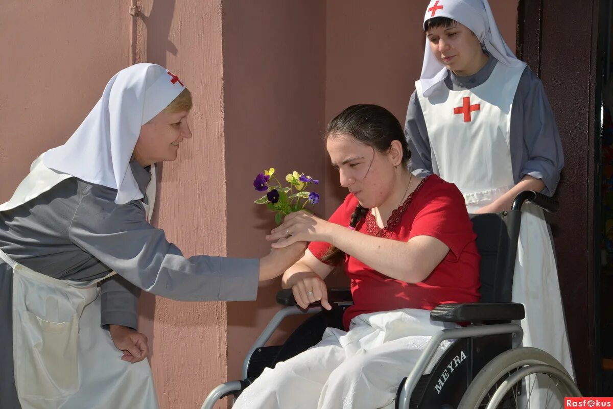 приют собак в вологде велес. приют милосердие архангельск. приют милосердие. приют милосердие. приют милосердие пермь.
