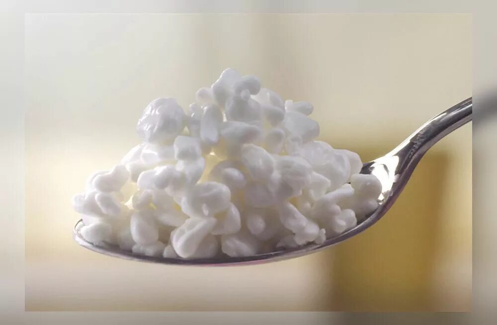 творог в зернах. зернистый творог. творог зерненый. зерновой творог. как сделать зернистый творог.