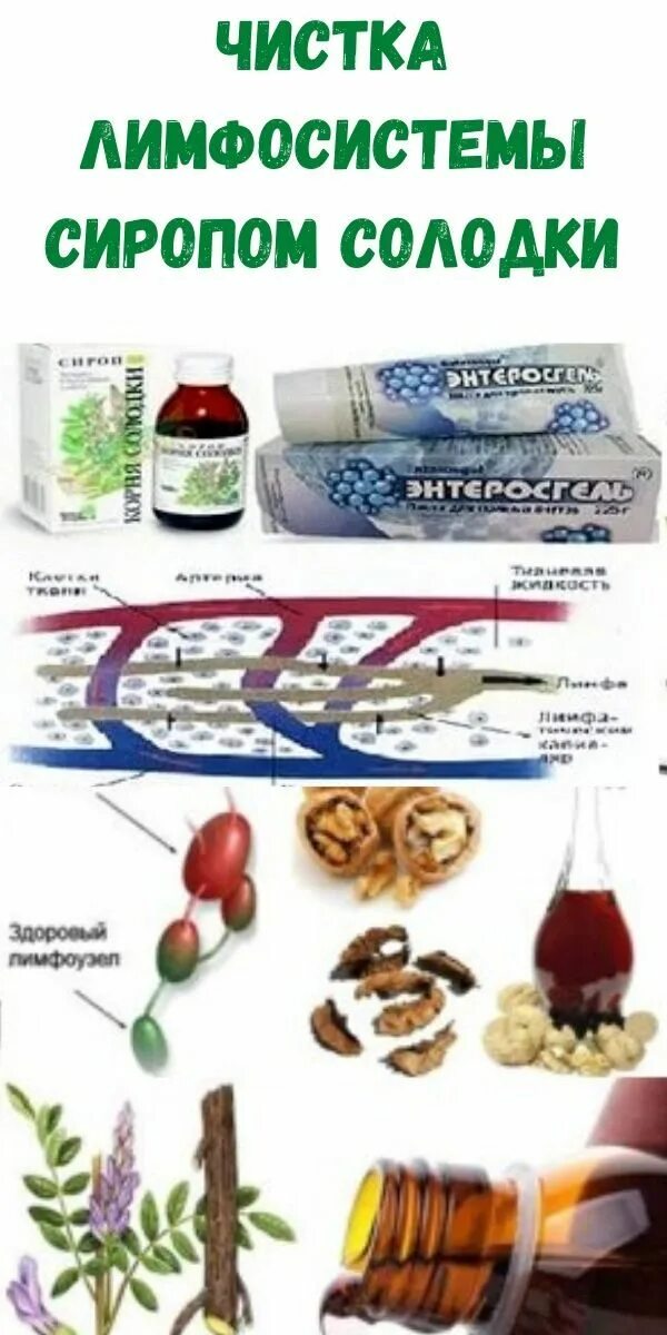 Препараты для очищения лимфосистемы. Продукты для очищения лимфосистемы. Сироп солодки очищение. Чистка лимфосистемы.
