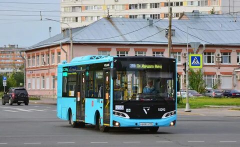 Автобус 265 спб