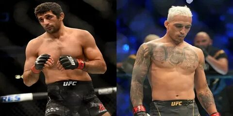 Чемпионы ufc 2023