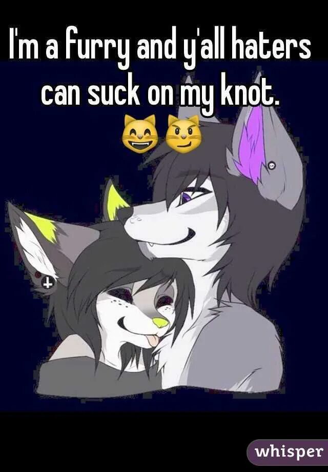 Furry knot. Кнот фурри. Фурри узел арт. Furry Hater. Knot meme.