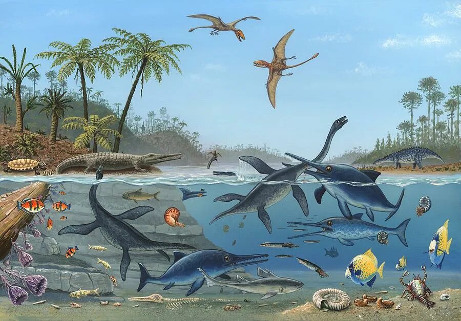 Эволюция ластоногих. Кембрийский ордовикский силурийский. Отряды млекопитающих ластоногие. Морские динозавры. Девонский период палеозойской эры.