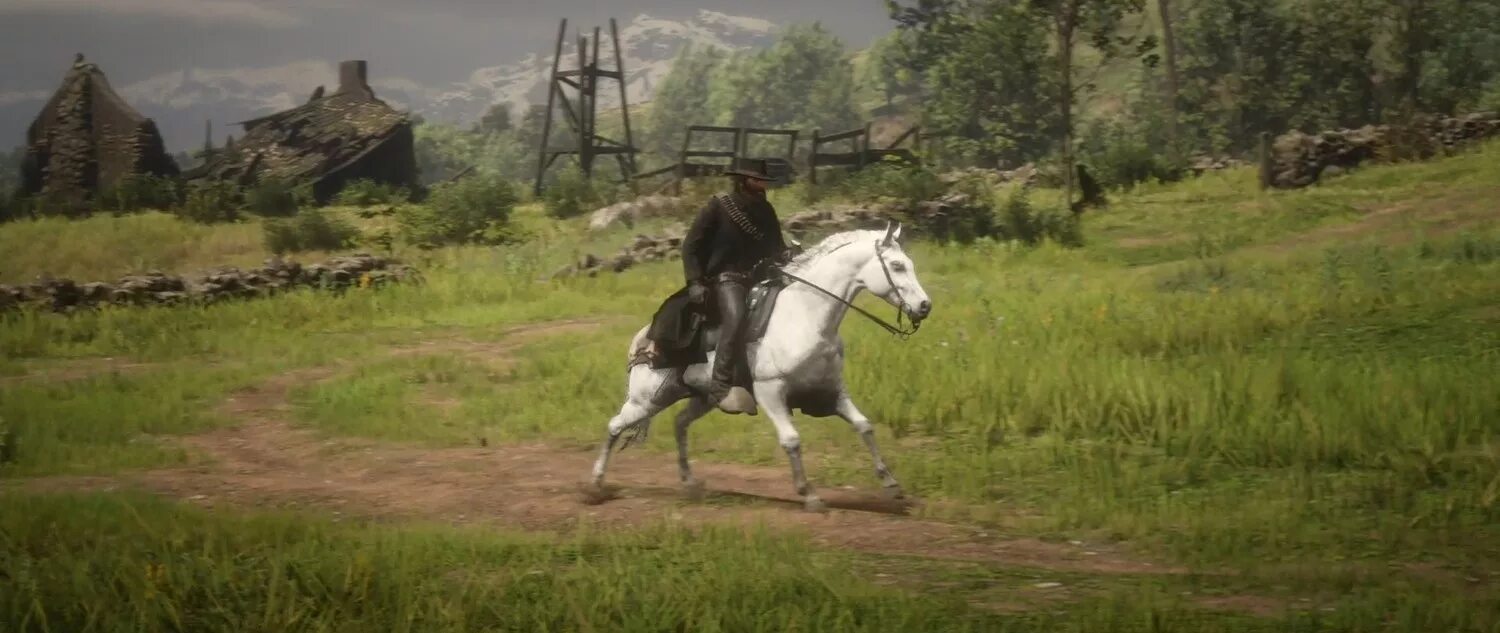 Как сесть на лошадь в рдр 2. Red dead redemption 2 арабский скакун. red dead redemption 2 кони. red dead redemption 2 лошади. rdr 2 арабская лошадь.