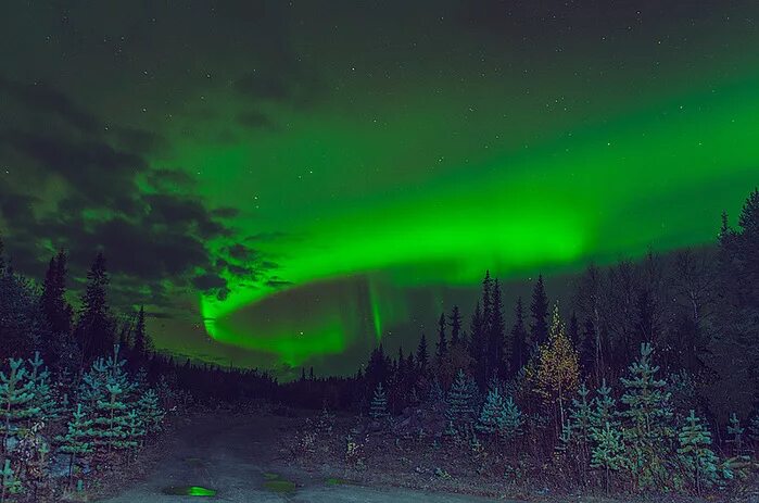 Полярные зори полярный день. Полярное сияние на кольском полуострове. Полярные зори полярный день. Полярные зори явление. Полярные зори полярный день.