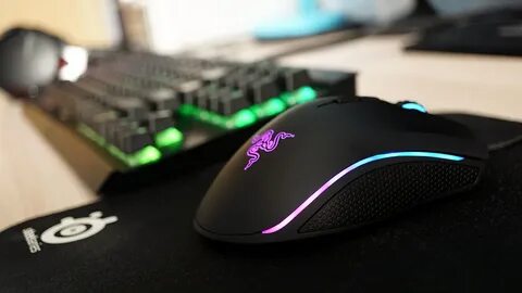 Razer tournament edition