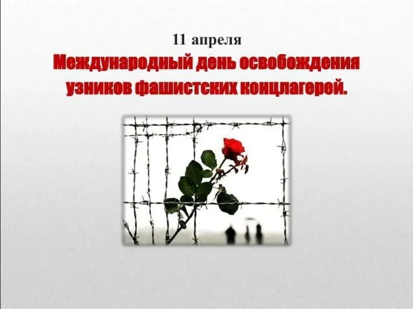 Международный день освобождения узников фашистских концлагерей. 11 Апреля день освобождения узников фашистских концлагерей. Международный день освобождения узников фашистских лагерей. Картинка 11 апреля день памяти узников концлагерей.