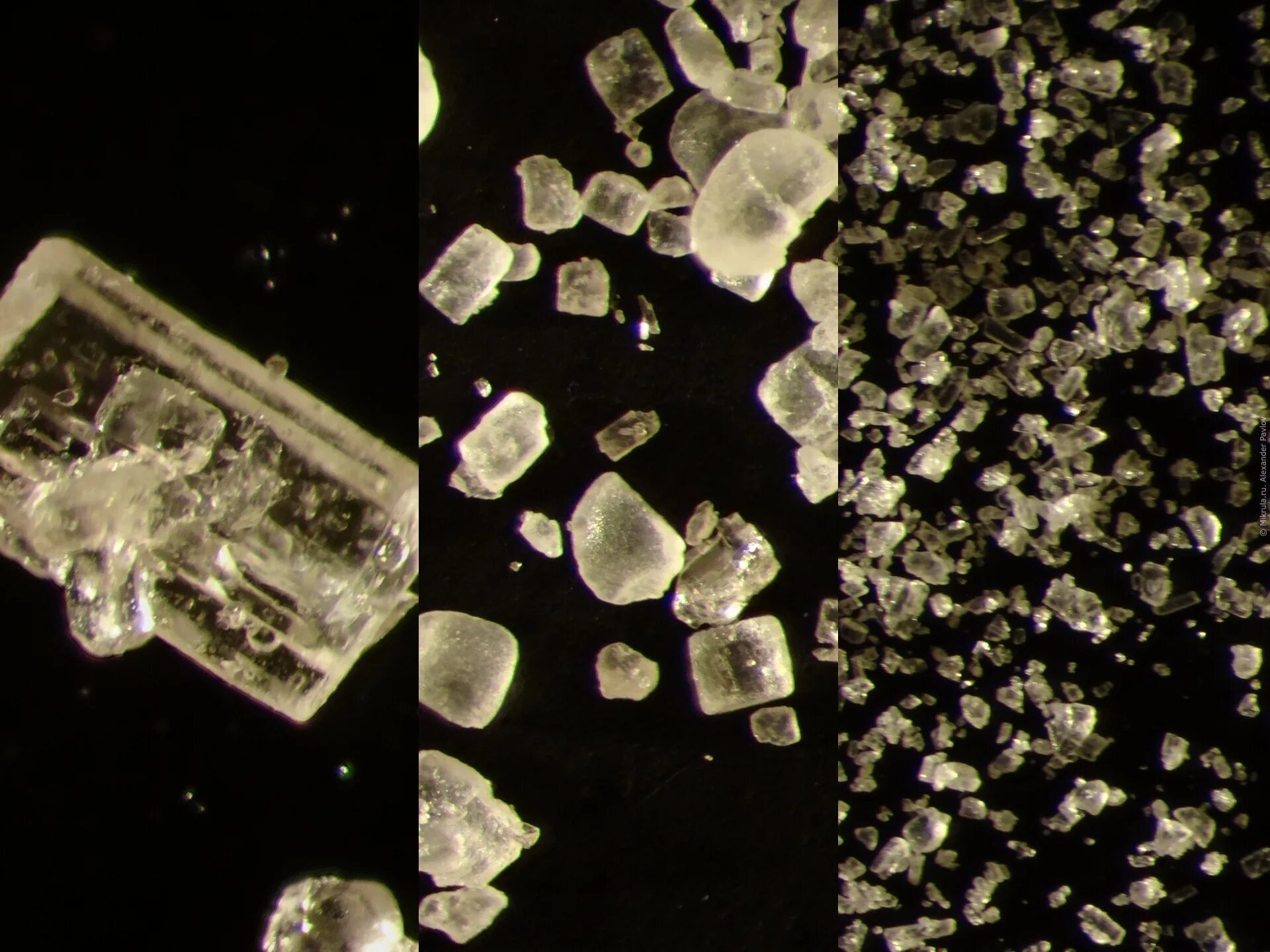 Кристаллы соли и сахара под микроскопом. Кристаллики сахара под микроскопом. Кристаллы сахар под микроскопом. Кристаллы соли микроскоп.