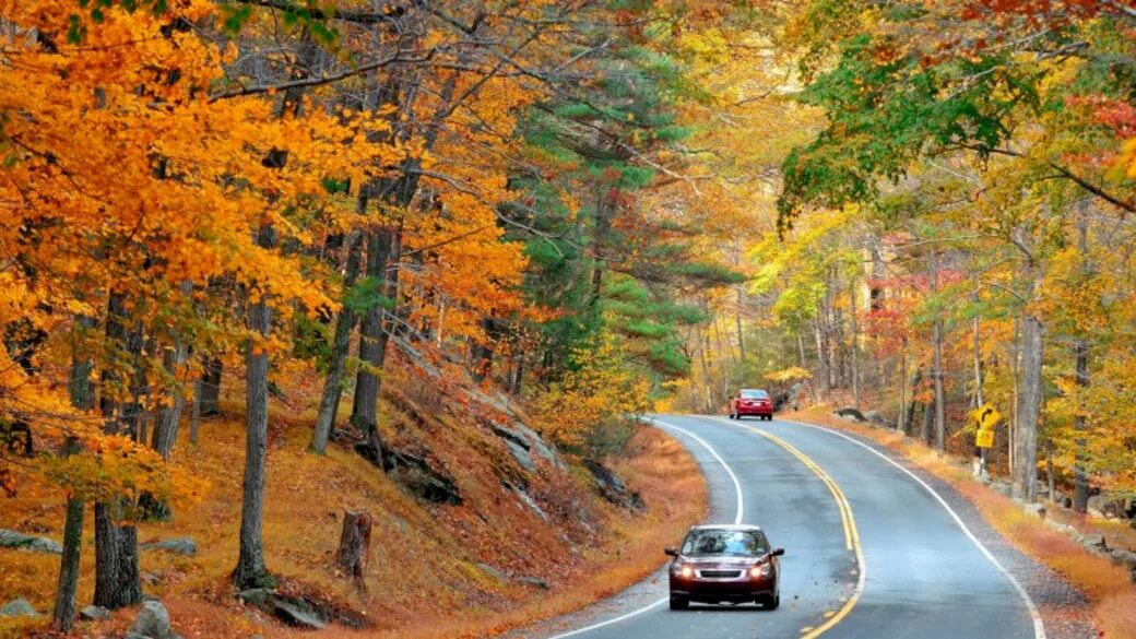 Тачка осень. Fall cars. Машина осенью. Тачка осень. Оранжевая дорога.