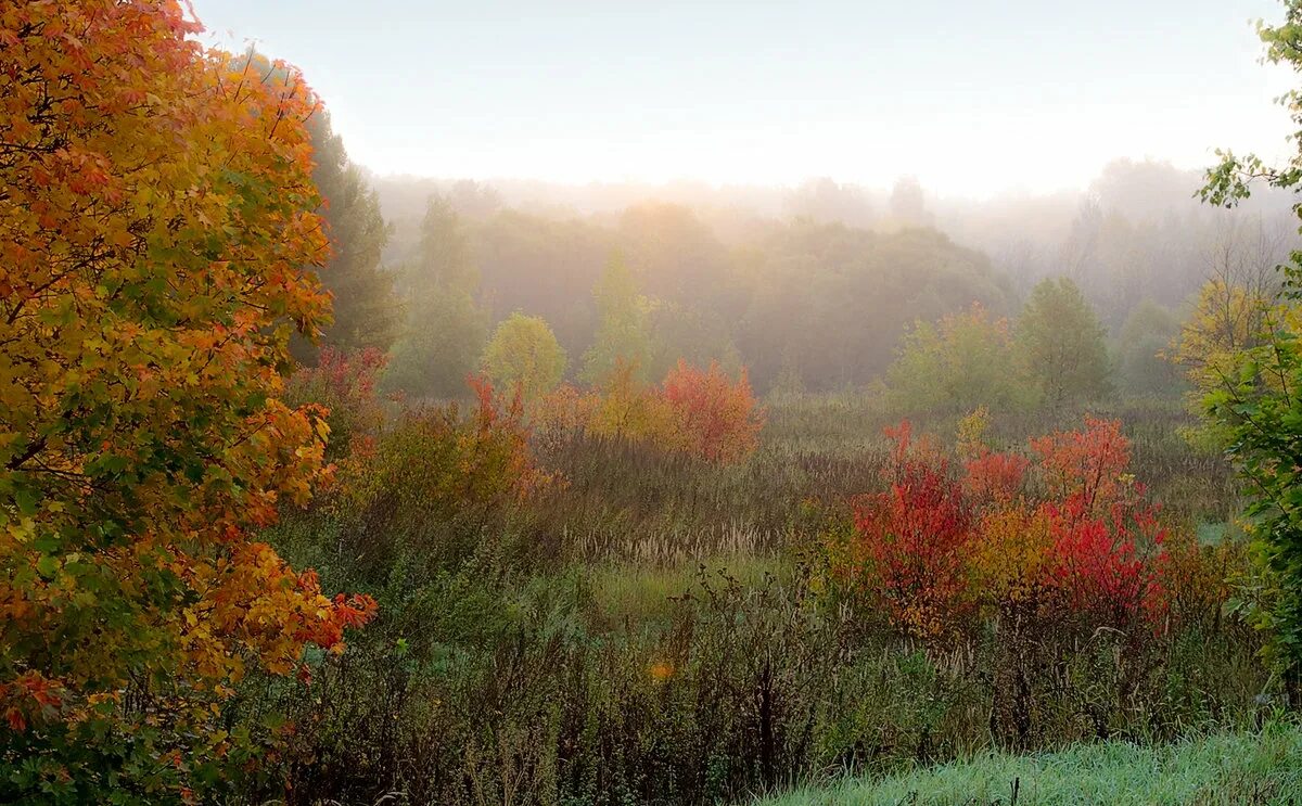 солнечный осенний день. доброе осеннее утро субботы. открытки с добрым утром осенние. прекрасного осеннего утра. осеннее утро.