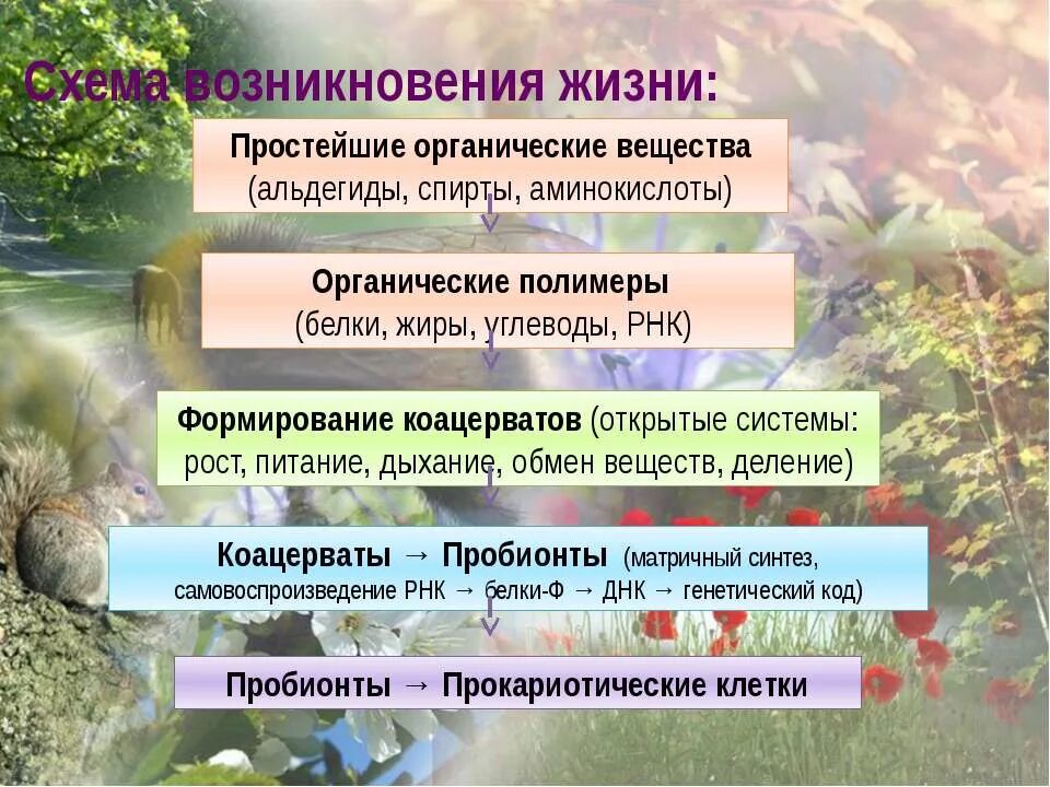 Современные представления о возникновении жизни на земле. Схема возникновения жизни. Представления о происхождении жизни на земле. Гипотезы происхождения живого вещества на земле. Гипотеза происхождения жизни биология таблица