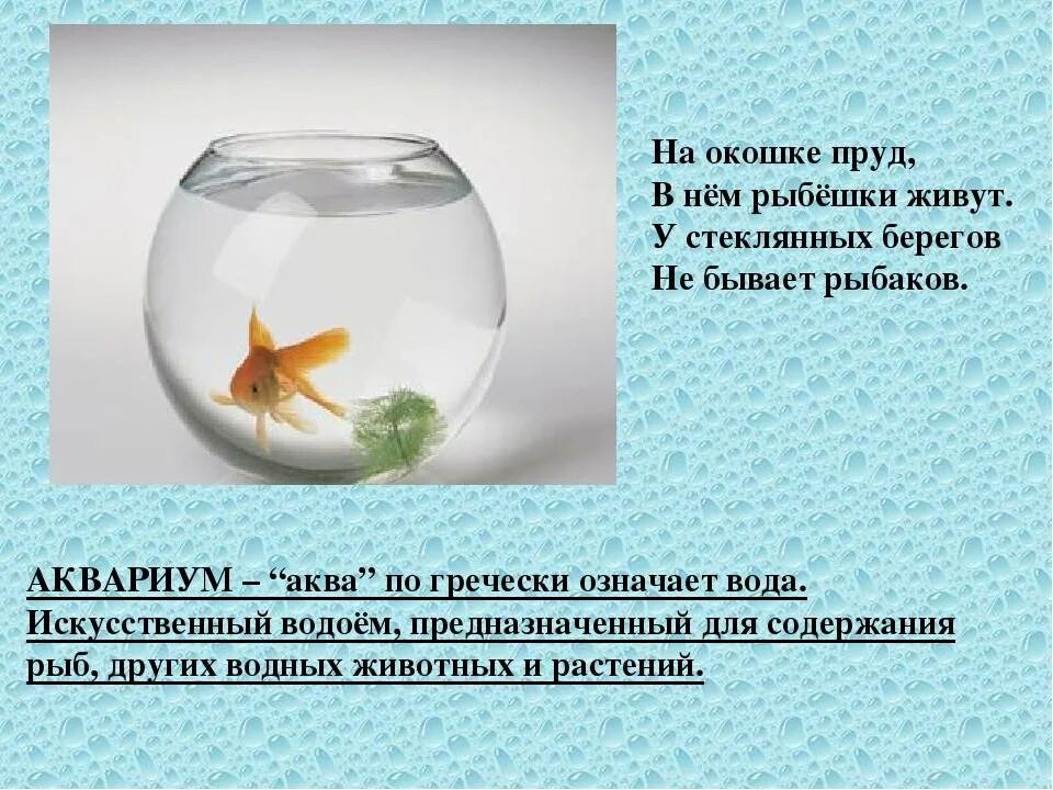 Какая вода нужна рыбам. Загадка про аквариум. Стишки про аквариумных рыбок. Стихи про аквариумных рыбок. Стихотворение про рыбку.