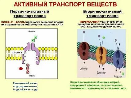Примеры первичного транспорта