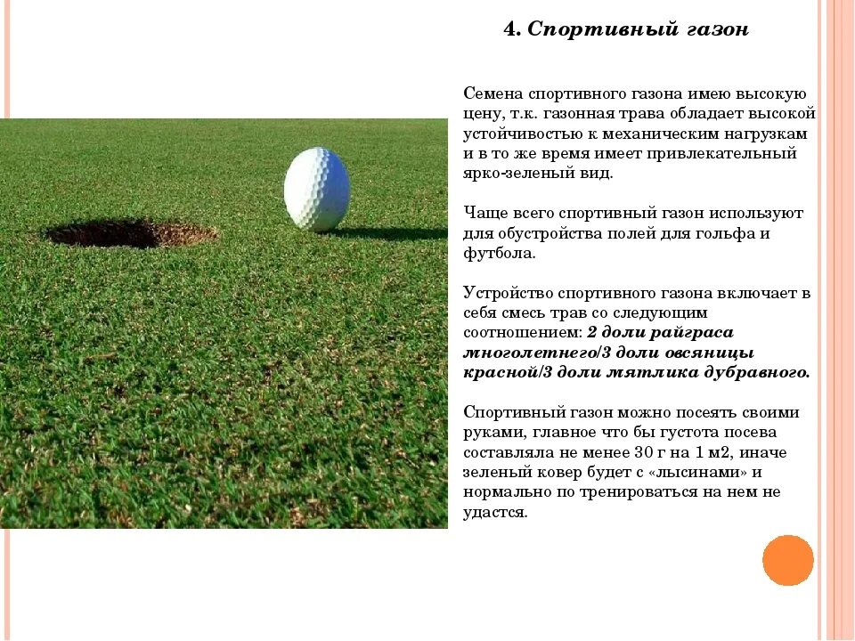 Парковка на газонах листовка. Найти каждому предмету свою лужайк по цвету. Газон для презентации. Газон определение. Что такое газон согласно пдд.