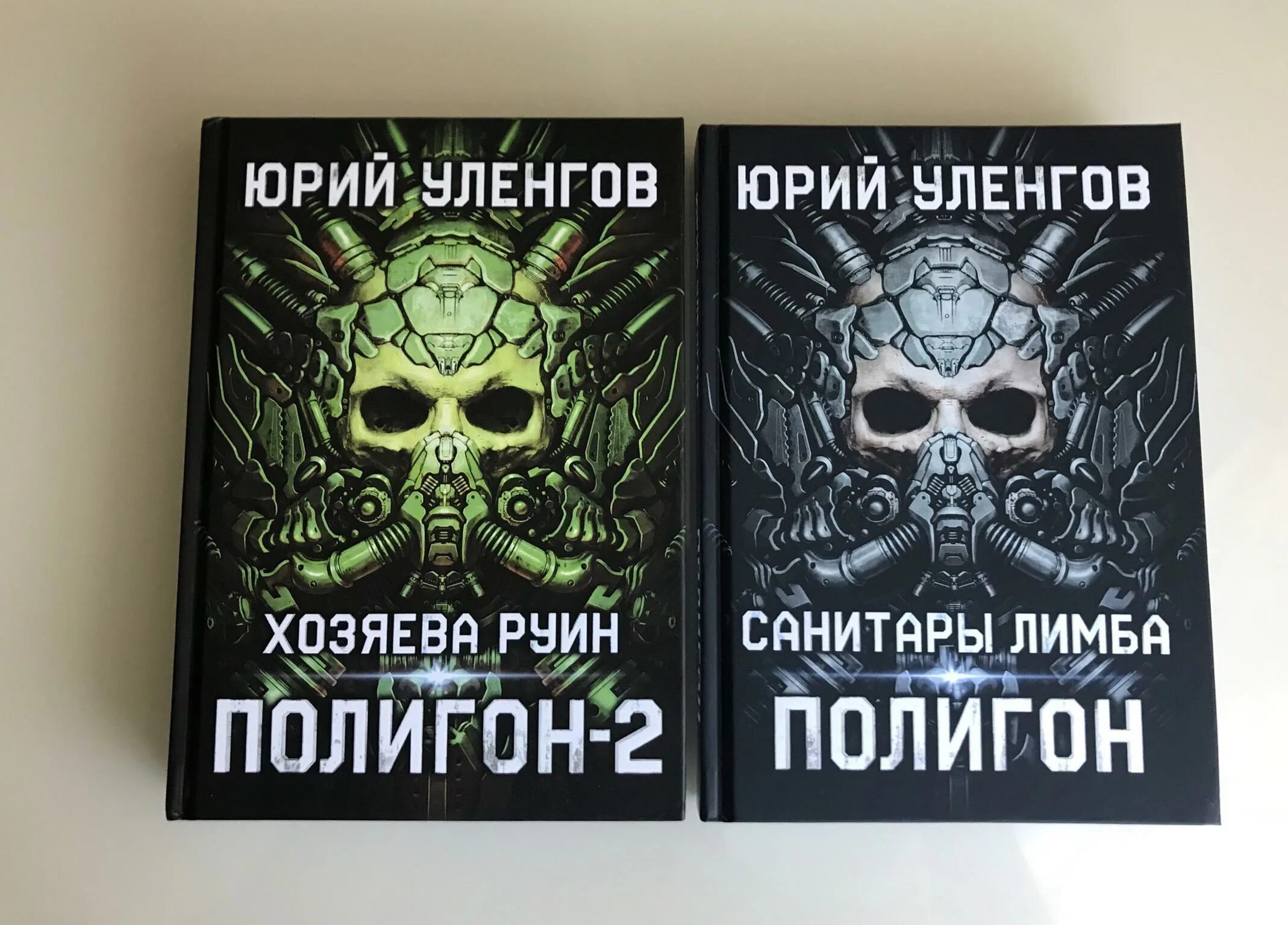 Читать полигон санитары лимба. Полигон. хозяева руин.