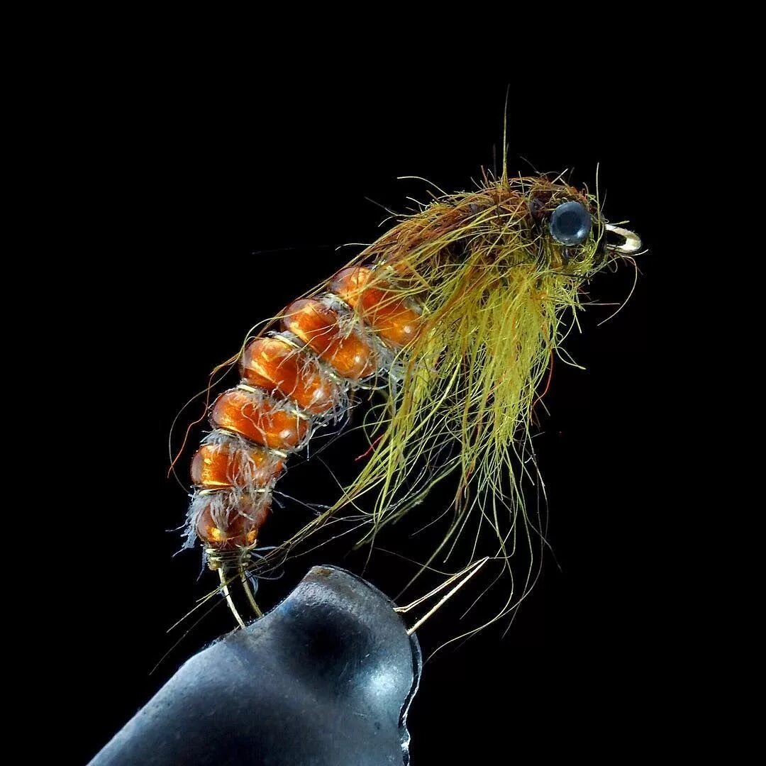 Муха личинка ручейника. Жук ручейник личинка. Нахлыстовые мушки ручейник. Шитик ручейник. Мушка личинка ручейника.