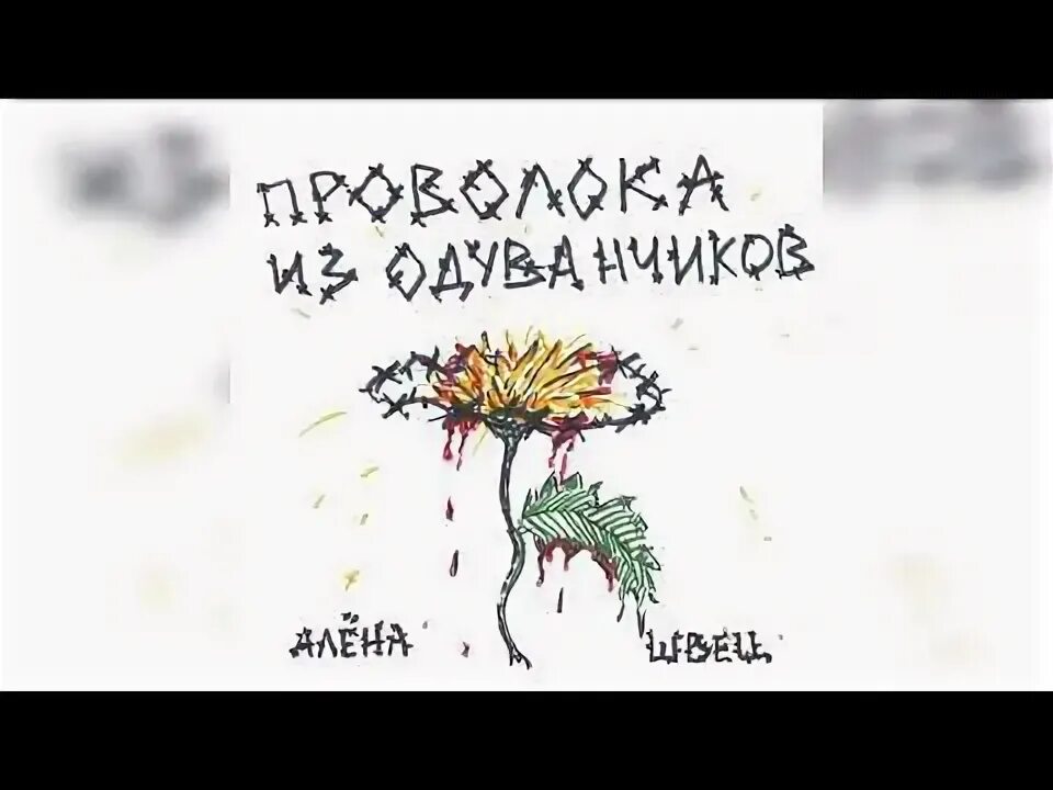 Алена швец плакат. Одуванчик швец. Одуванчик швец. Одуванчик с альбома алены швец. Одуванчик швец.
