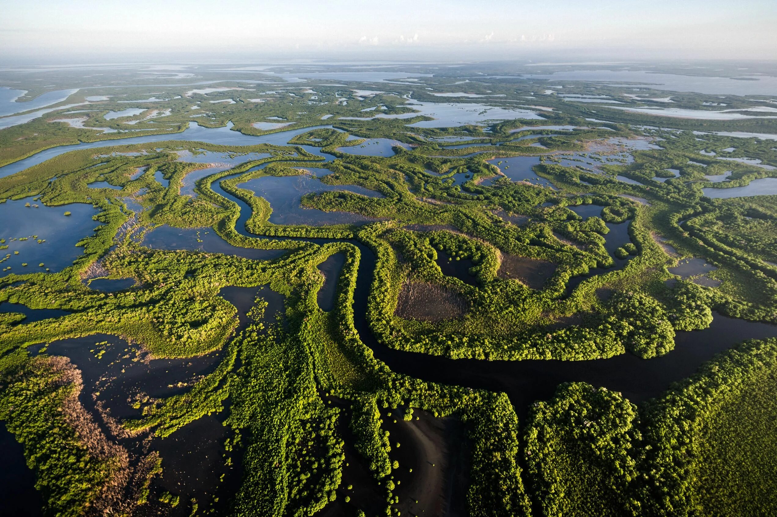 Самая теплая река в мире. Кауто (река). Река Кауто Кубы. Дельта Ориноко с высоты птичьего полета. Река Маморе.