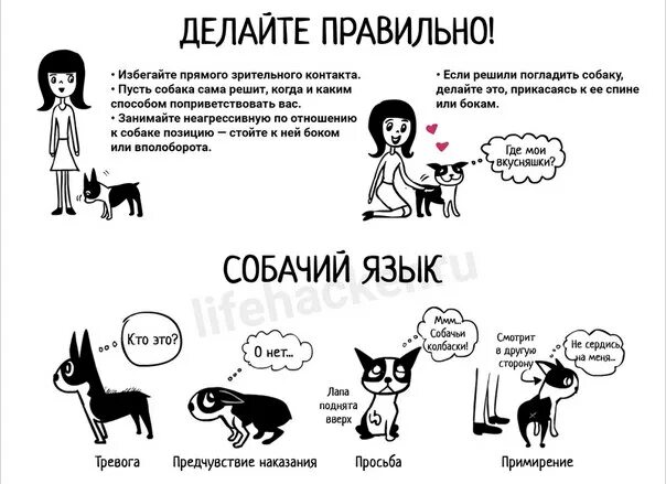 Собачий значение