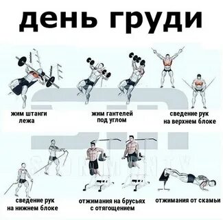 Тренировка для грудных мышц в зале