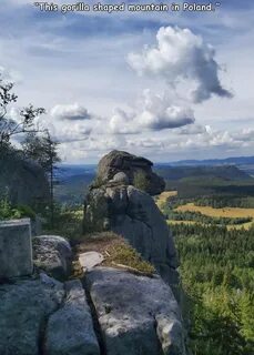 Даже каменный