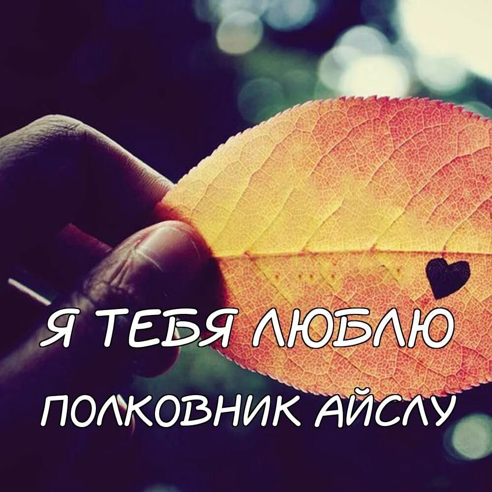 Картинки любимому человеку. Я тебя люблюююююююююююююююююююююююююююююююююю. Первое свидание. Силуэт двух влюбленных. Влюбленные на закате.