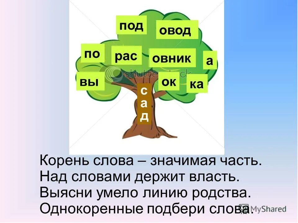 Словарь однокоренных слов. Дерево родственных слов. Задания по русскому языку корень. Задания по русскому на тему корень.