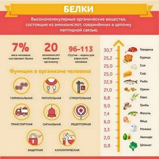 Грибы богатые белком