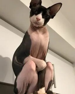 Ну сейчас собралась
