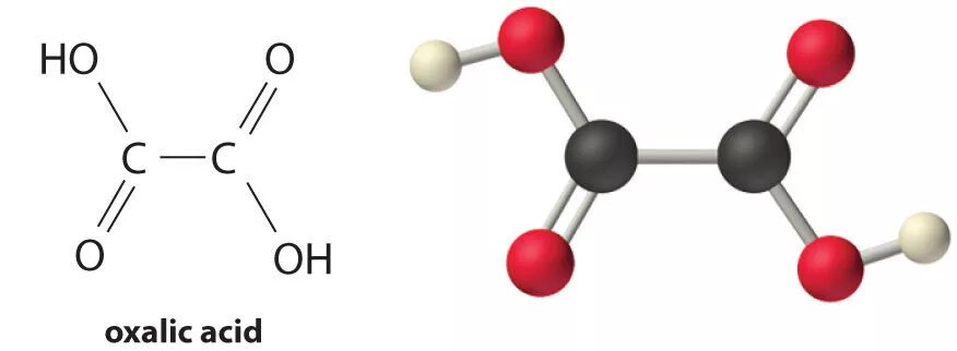 Щавелевая кислота структурная формула. Щавелевая кислота формула. Молекулярная формула щавелевой кислоты. Молекула щавелевой кислоты.