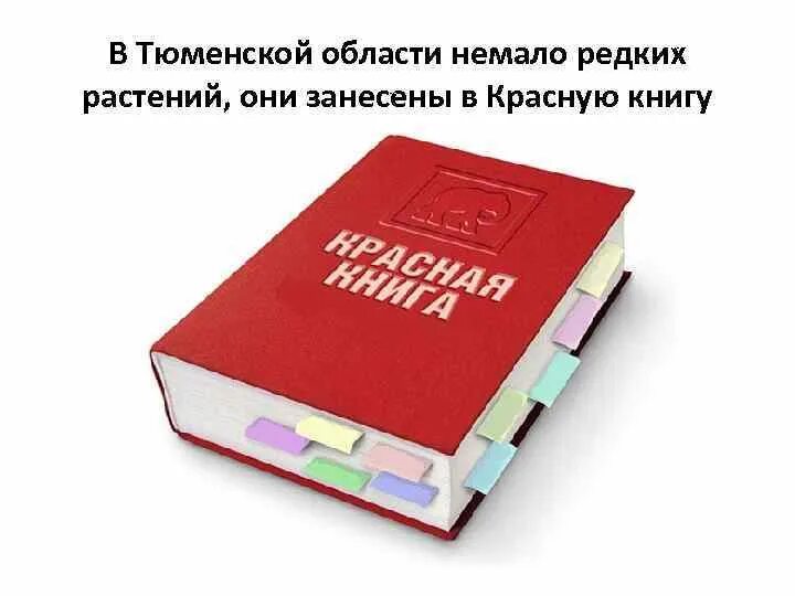 Красная книга Тюменской области книга. Красная книга Тюменской.... Растения красной книги Тюменской области. Растения из красной книги Тюменской области. Красная книга тюмени