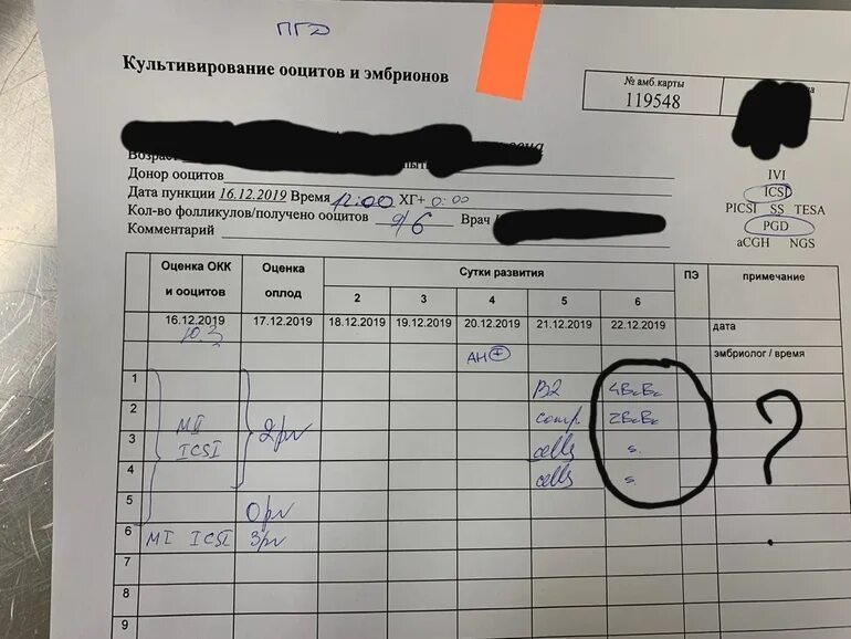 Пгт эмбрионов форум. Расшифровка качества эмбрионов. протокол качества эмбрионов. таблица качества эмбрионов. качество эмбрионов при эко.