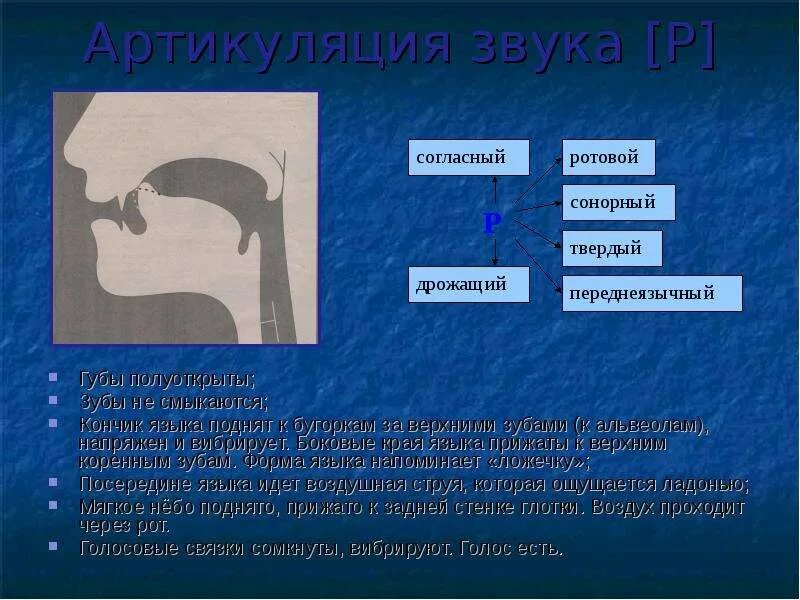 Артикуляция определение. Звук в артикуляция звука. Артикуляция звука с. Профиль звука с. Артикуляционный профиль звука с.