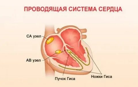 Тахикардия после еды