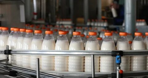 Производство молока и молочных продуктов