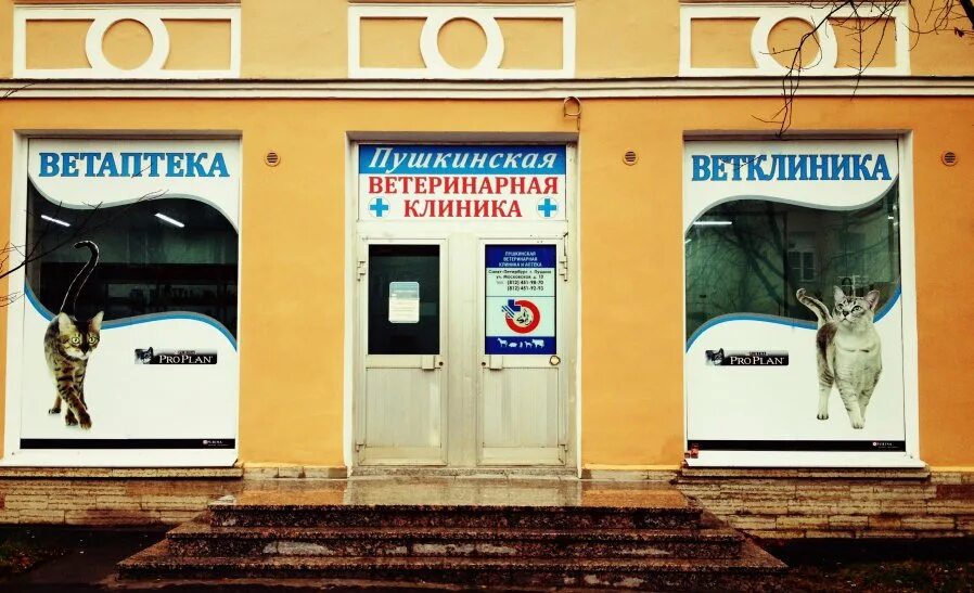 ветеринарная клиника нева-вет. ветеринарные клиники спб проспект просвещения. алексин ветеринарная клиника. ветклиника пушкин московская улица. ветлечебница на пушкина.